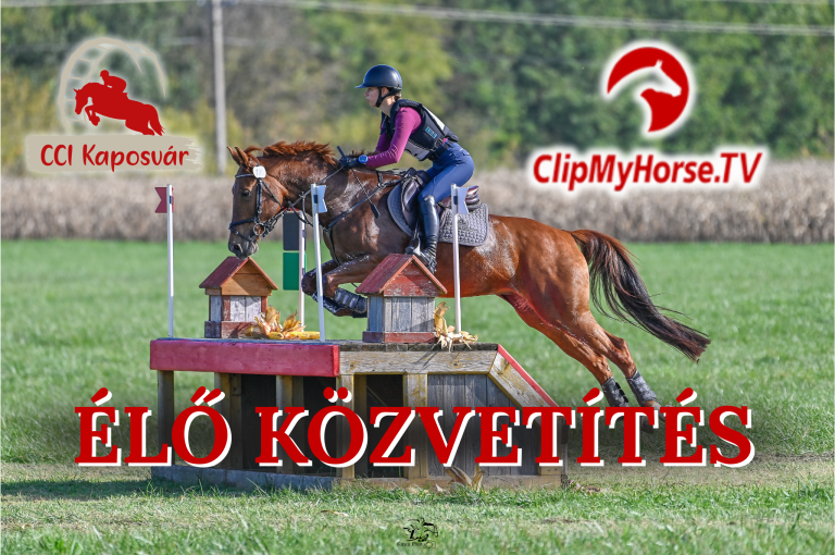Élő közvetítés a kaposvári lovastusa versenyről
