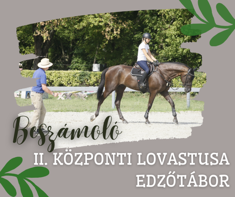 II. Központi Lovastusa Edzőtábor
