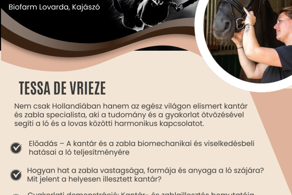 Előadás – A kantár és a zabla, mint a kommunikáció kulcsa