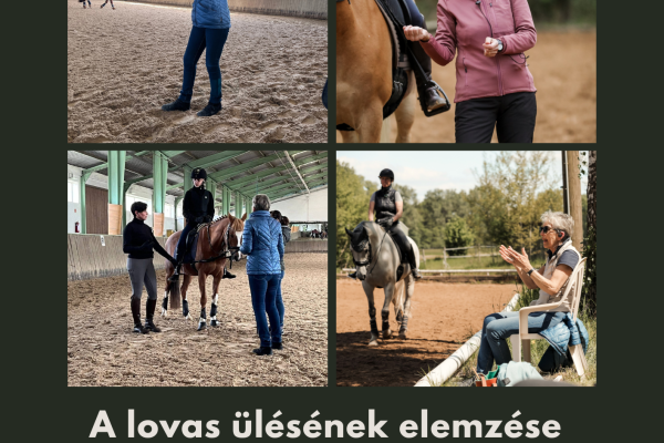 A lovas ülésének elemzése képzés